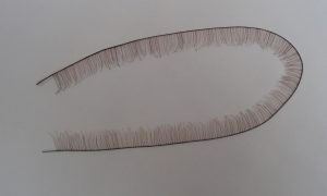 Tresse cils 10 cm de long et 1 cm de haut cheveux véritable