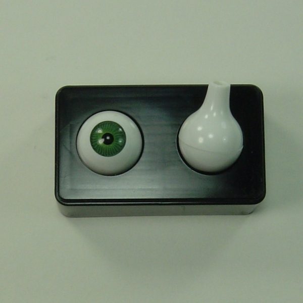 Yeux ronds pleins acryliques – Image 2