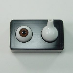 Yeux ronds pleins acryliques