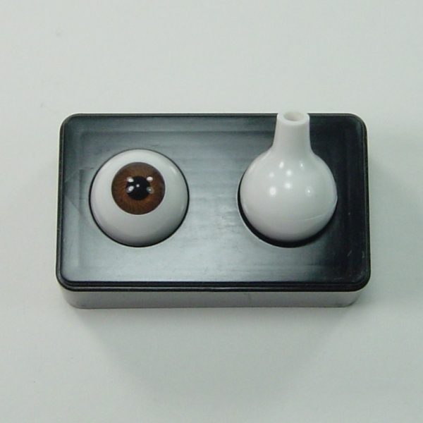 Yeux ronds pleins acryliques
