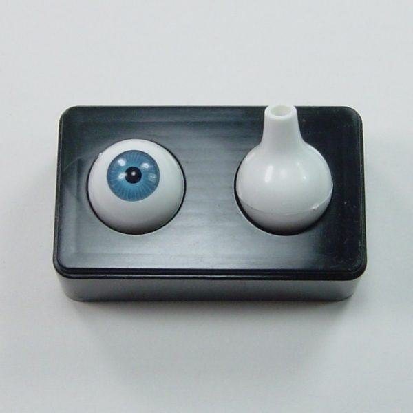 Yeux ronds pleins acryliques – Image 3