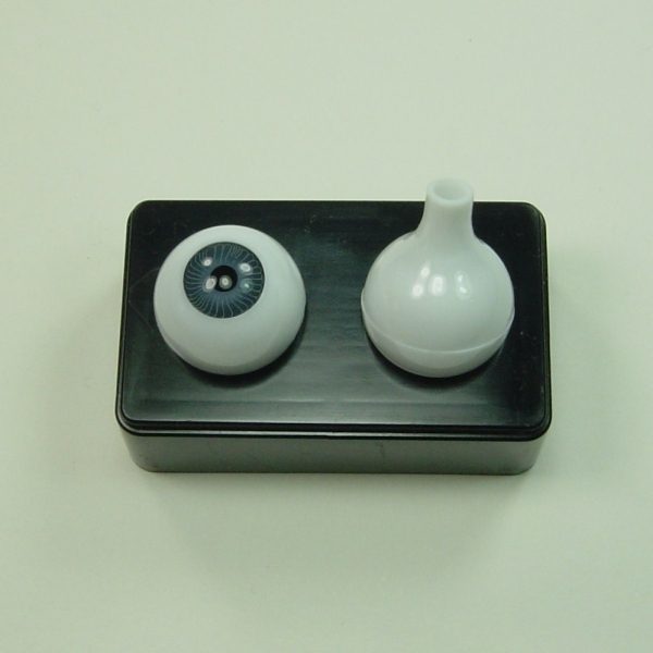 Yeux ronds pleins acryliques – Image 4