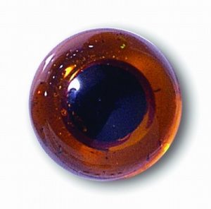 Yeux en verre