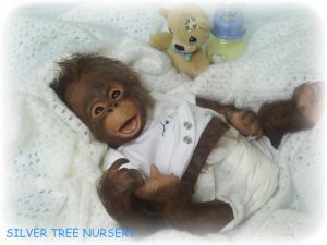 Singe Binki sans corps avec 1 kg de billes de verre