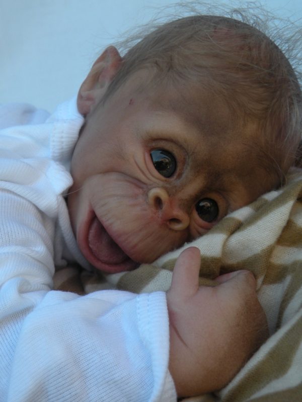 Singe Binki sans corps avec 1 kg de billes de verre – Image 2