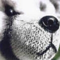 Nez pour ours en peluche