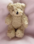 Ours en peluche
