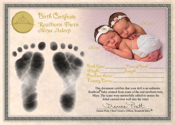 Owen Awake  Realborn sans corps Certificat inclus – Image 14