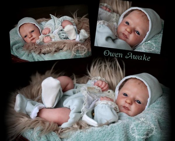 Owen Awake  Realborn sans corps Certificat inclus – Image 3