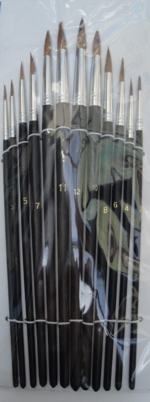 Lot de 12 pinceaux