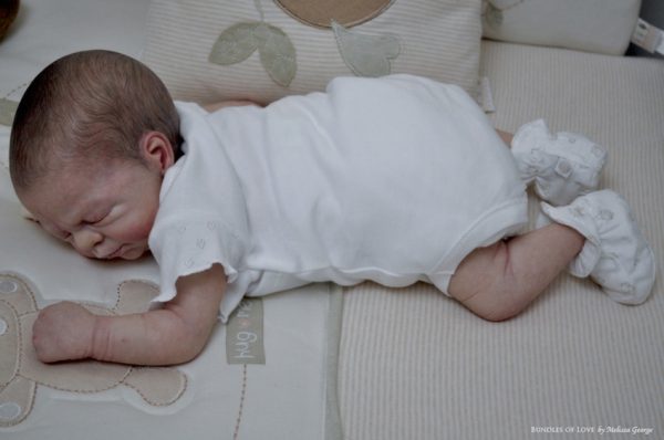 Precious Gift – Image 3
