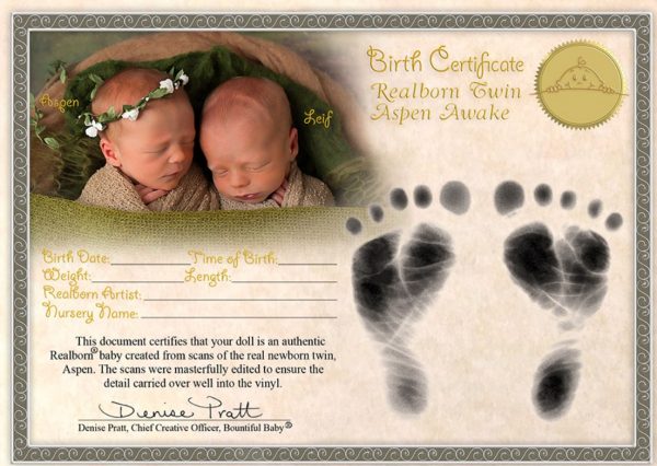 Aspen  Realborn sans corps avec 1kg de billes de verre – Image 2