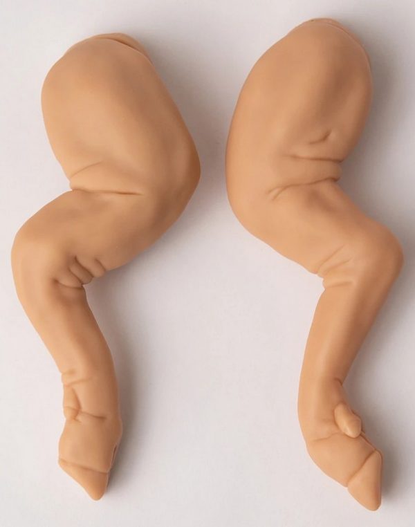 Fawna sans corps – Image 4